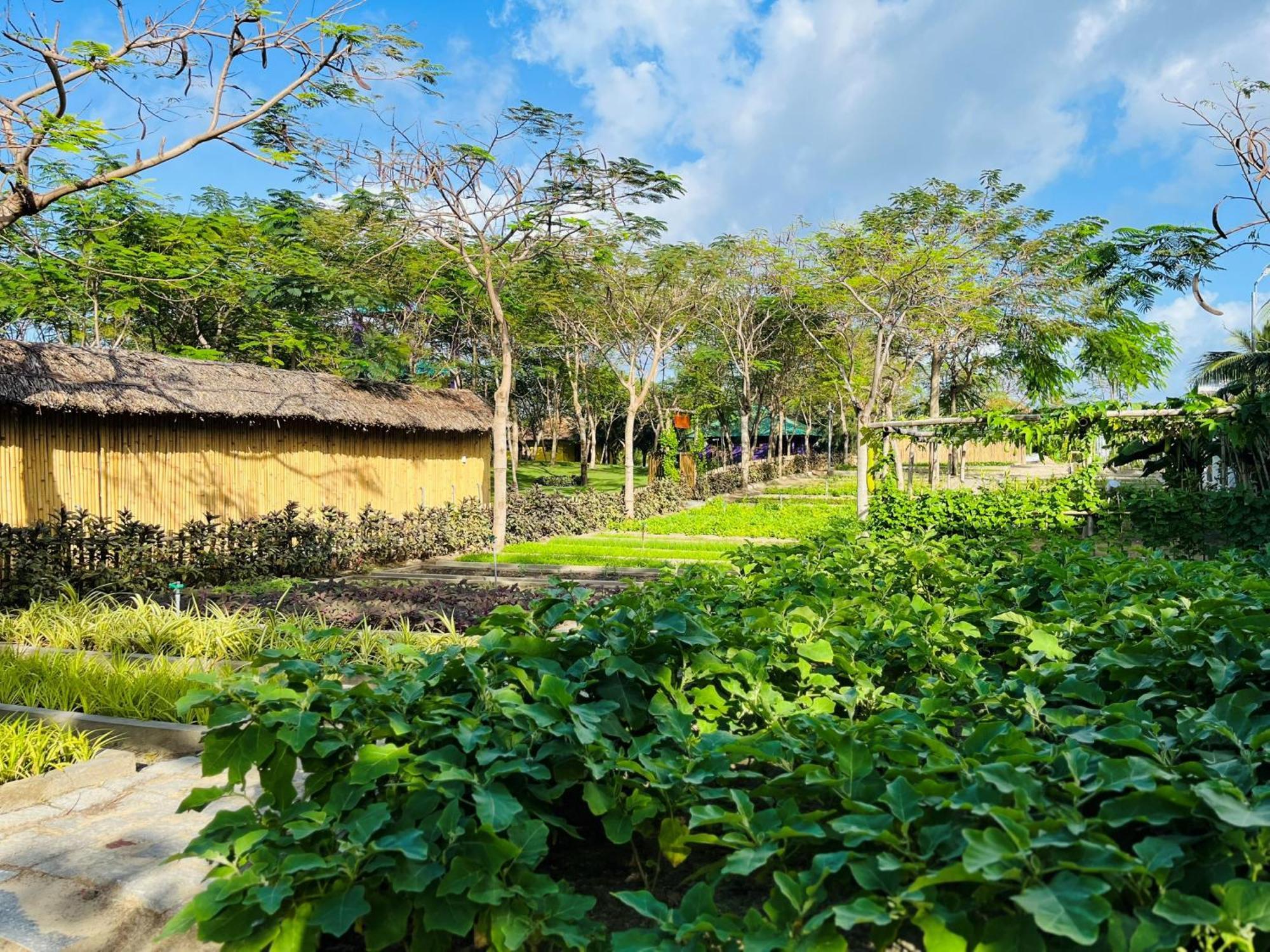 Ttc Van Phong Bay Resort - Himalaya Sauna & Steam Retreat Included Ấp Ninh Hòa  Exteriér fotografie